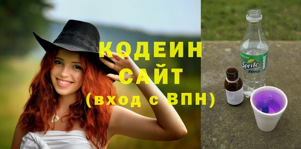 дмт Ладушкин