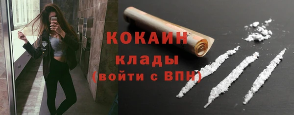 дмт Ладушкин