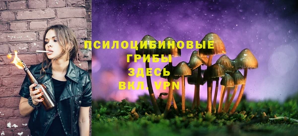 дмт Ладушкин