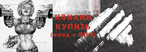 дмт Ладушкин