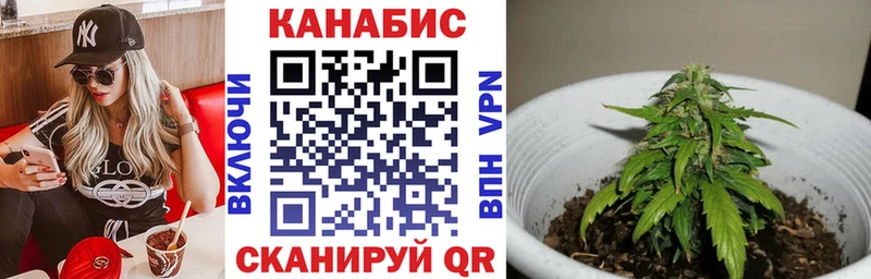 Марихуана сатива  MEGA онион  Можайск  магазин   